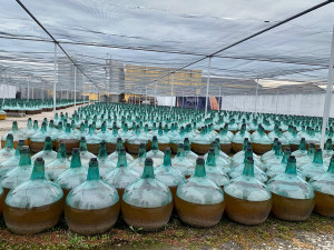 De Alberto y el legado de los vinos generosos en Rueda