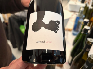 Joan Rubió Sumoll 2023 Pét Nat Rosé