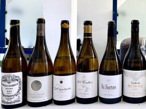 Valdeorras: our selection of white wines