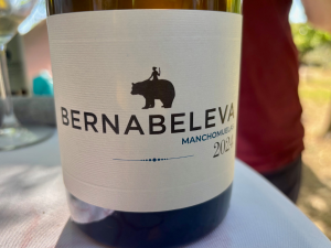 Bernabeleva Manchomuelas 2024 Blanco