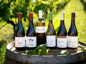 Along the Raia: Wines from Galicia’s southern frontier